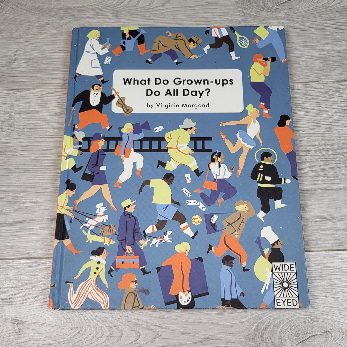 What Do Grown Ups Do All Day? - Hardcover book