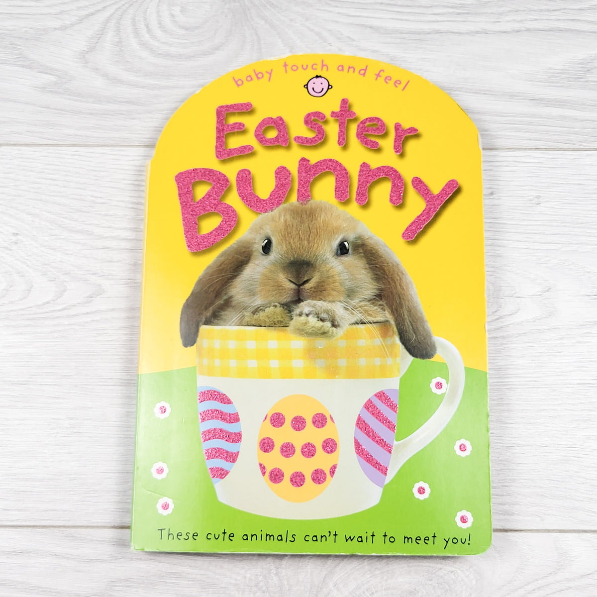 Easter Bunny - touch and feel board book