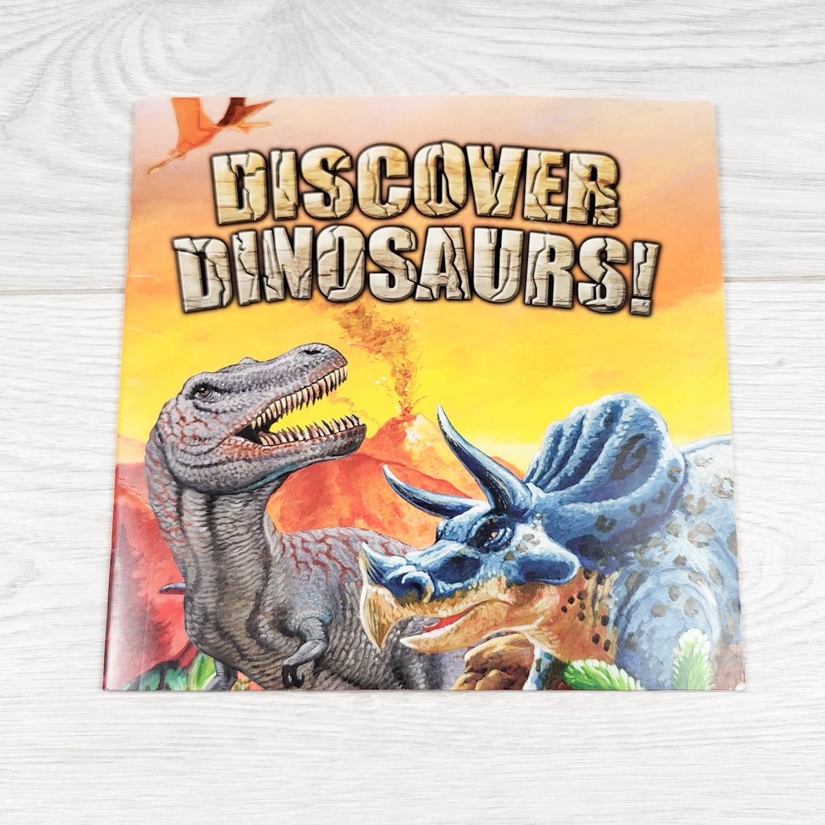 Discover Dinosaurs! - Soft cover book