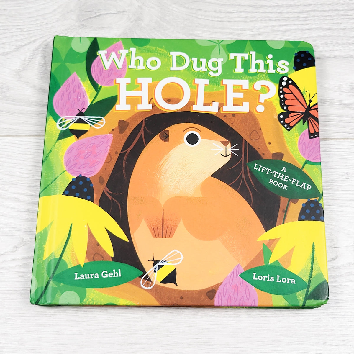 Who Dug This Hole? - lift the flap board book
