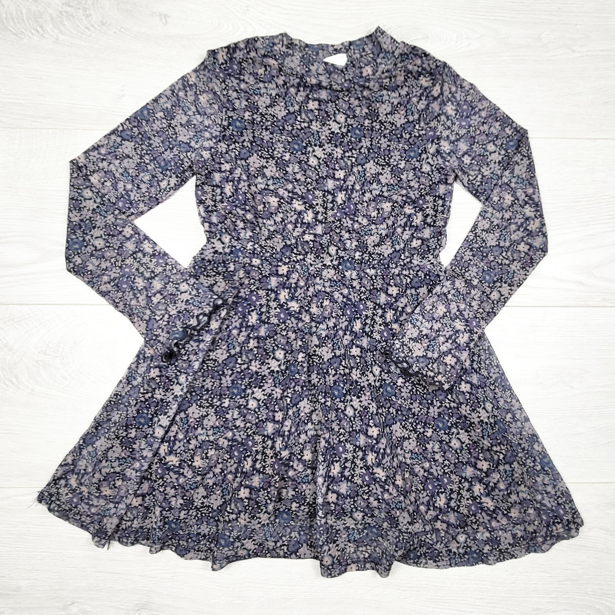 Zara Floral Print Mesh Long Sleeve Dress - Size 6