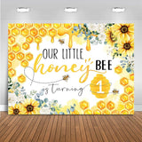 JGIB1 - First Birthday photo backdrop